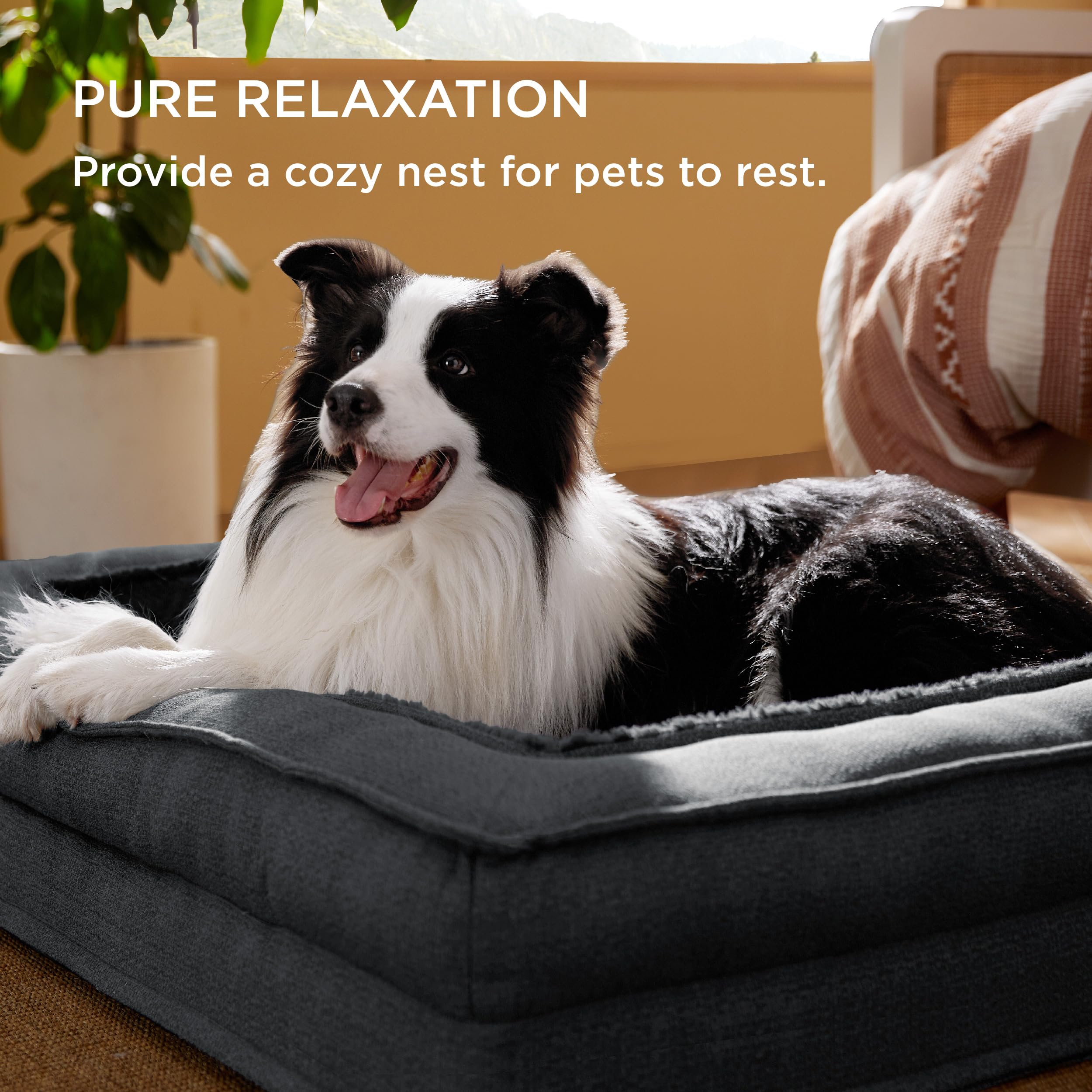 Bedsure Orthopedic Dog Bed for Extra Large Dogs - Egg Crate Foam Support, Waterproof & Washable Cover, Plush Velvet Surface, Non-Slip Bottom - Perfect for Large Breed Dogs in Living Room, Bedroom or Kennel (Charcoal)