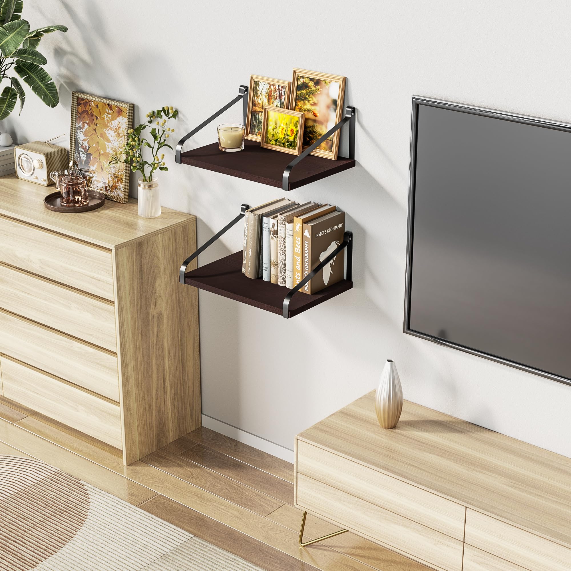 Floating Wall Shelves Set of 2 - Solid Wood Wall Mount Shelves 16.5