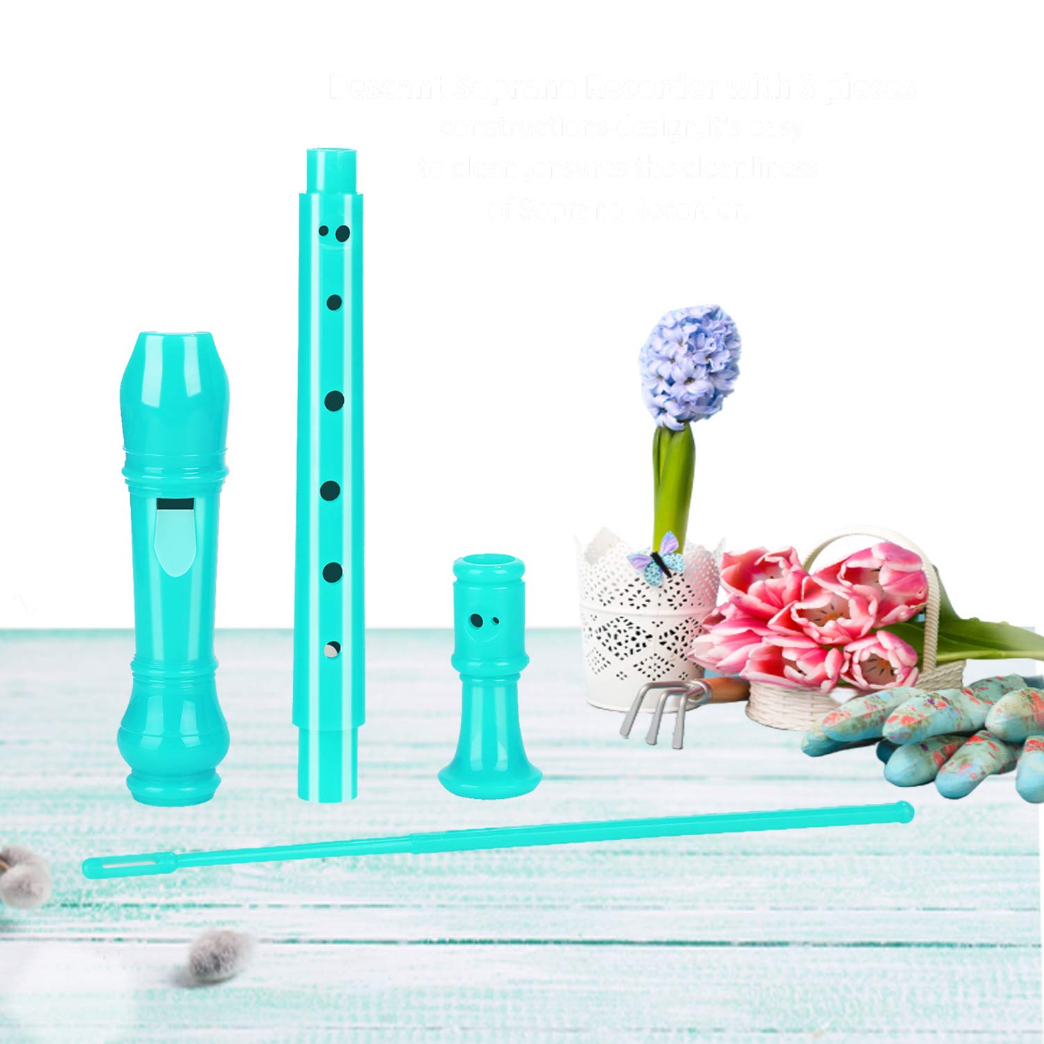 Descant Soprano Recorder - Professional ABS Plastic Flute Instrument for Kids & Beginners with Cleaning Rod & Carrying Case - Perfect for School Music Class, Home Practice & Early Childhood Education