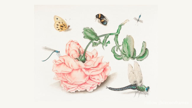 Vintage Rose and Five Insects Art Print (1618) - Botanical Wall Decor for Home, Office & Gifts