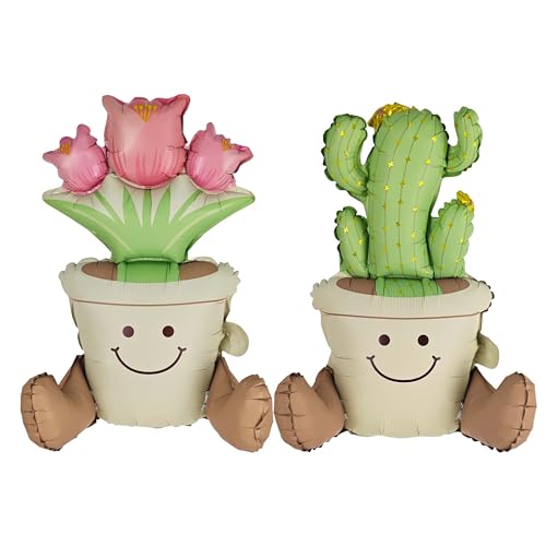 Cactus Tulip Potted