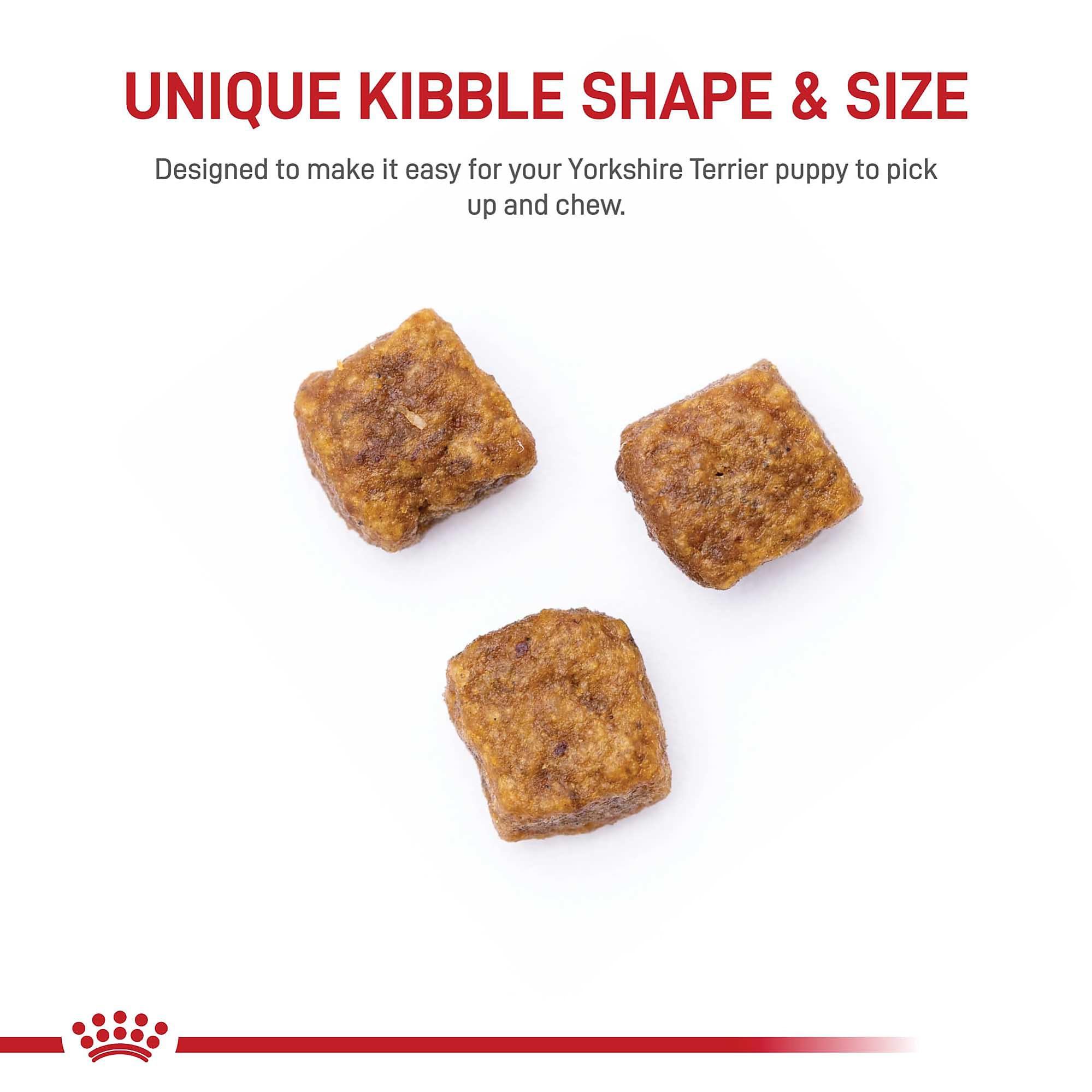 Royal Canin Yorkshire Terrier Puppy Dry Dog Food - Breed Specific Nutrition for Small Dogs, 2.5 lb Bag - Perfect for Yorkshire Terrier Puppies' Growth & Development