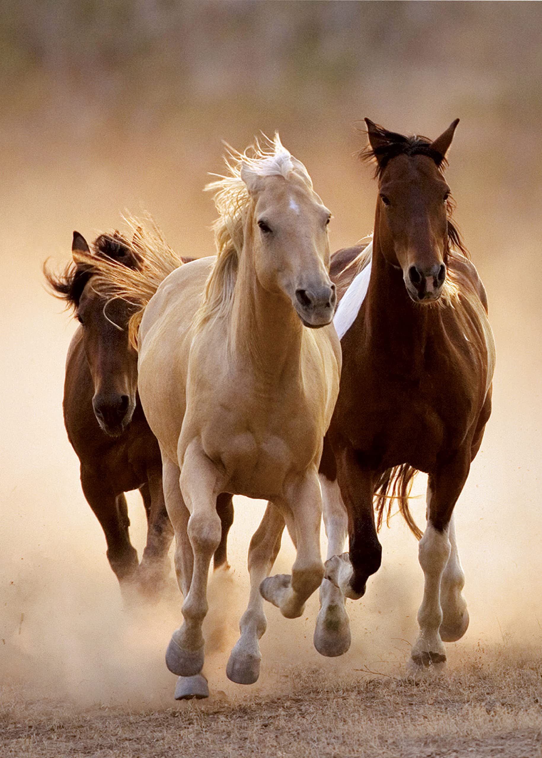 Clementoni 1000-Piece Jigsaw Puzzle - Running Horses Landscape, Adult Puzzle for Relaxation & Home Decor (39168) | Perfect for Family Game Night & Stress Relief