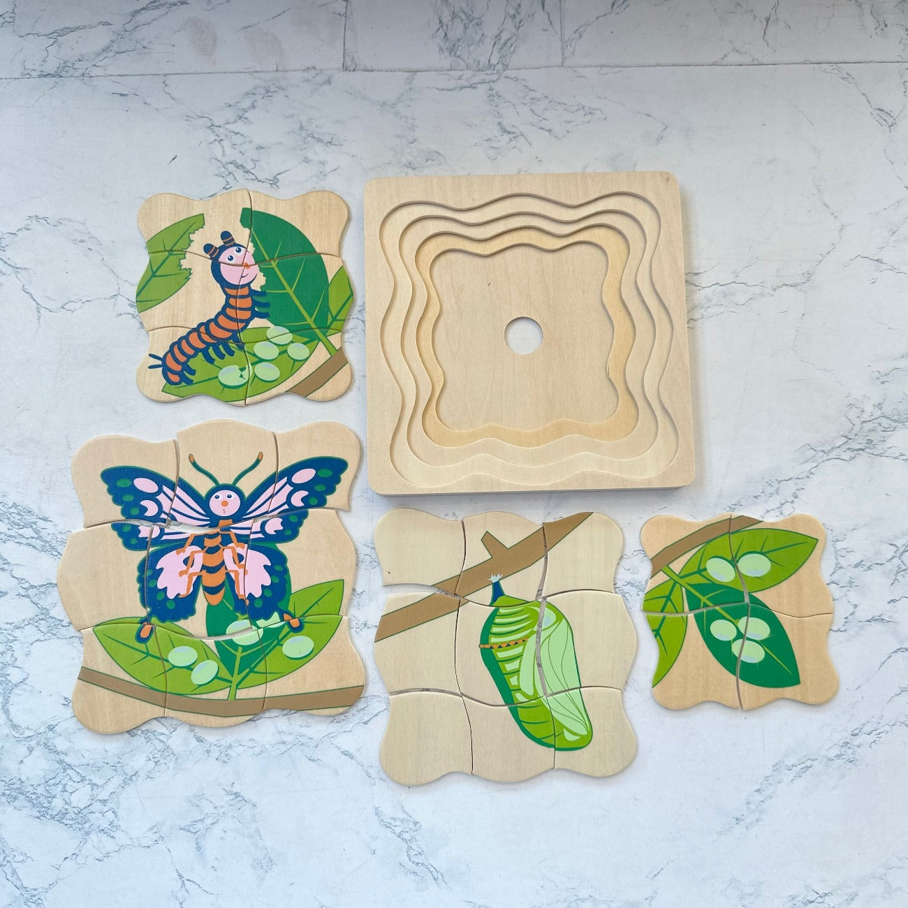 Timber Butterfly Life Cycle 4 Layer Wooden Puzzle - Educational Montessori Toy for Kids Learning & Home Decor