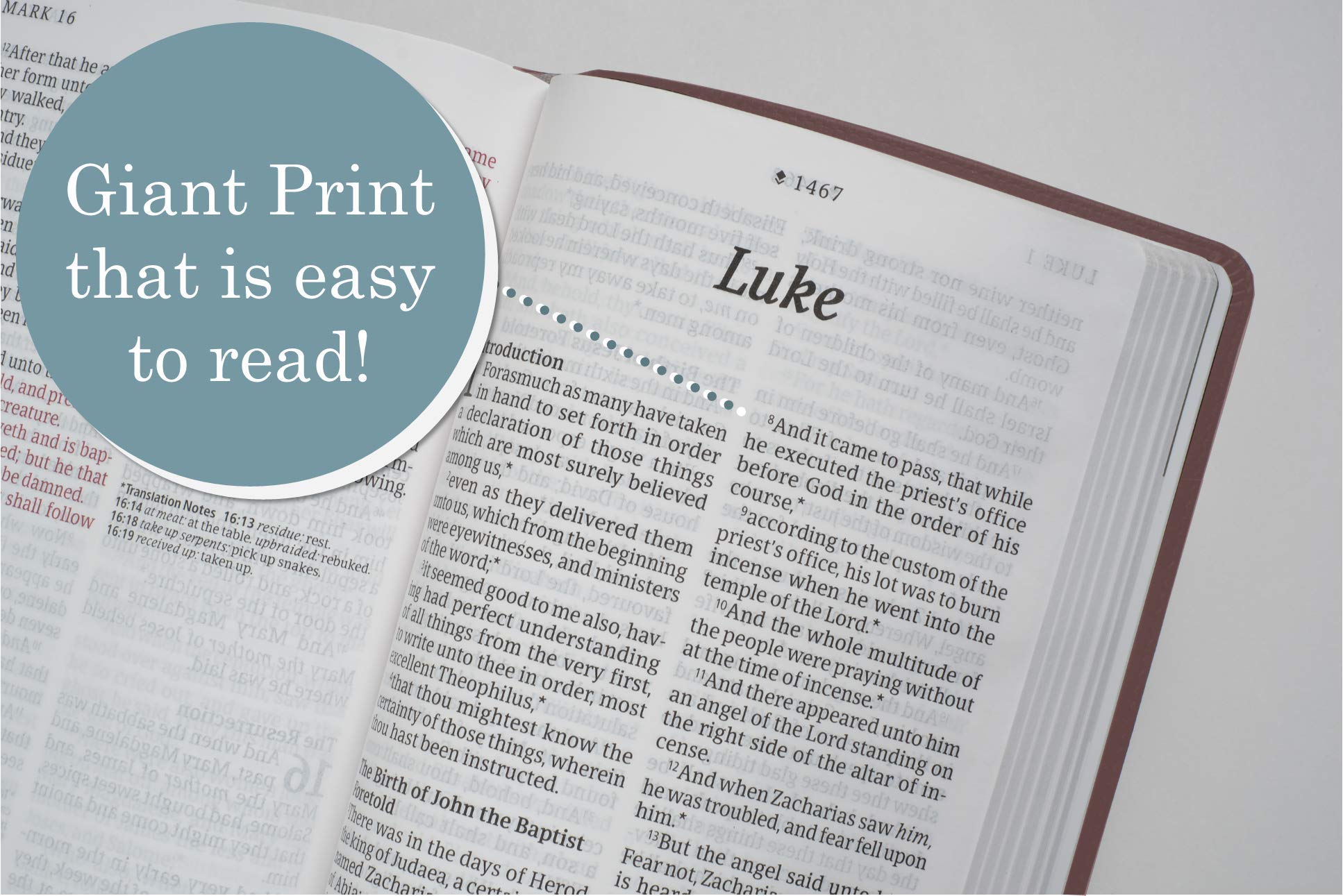 KJV Giant Print Bible - Genuine Leather, Burgundy | Red Letter Edition for Easy Reading & Worship