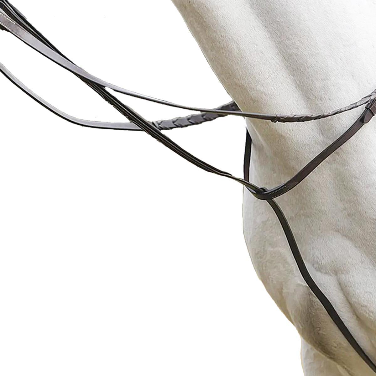 Avignon Standing Martingale for Horses - Premium Equestrian Training Aid for Dressage & Jumping | Perfect for Show & Stable Use