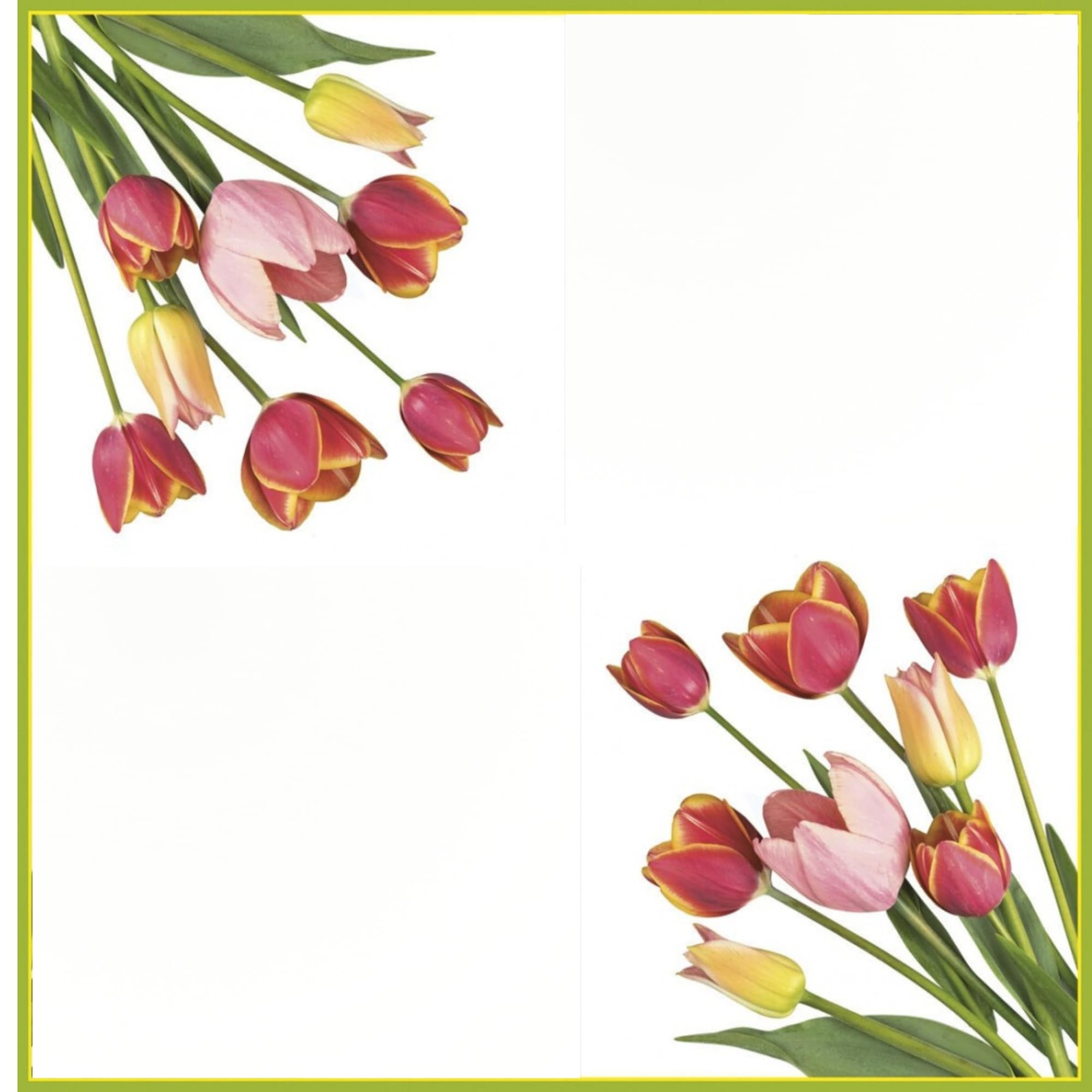 20-Count 13x13 Tulip Paper Luncheon Napkins, 3-Ply Decoupage Serviettes with Floral Print - Perfect for Christmas Decor, Dinner Parties, Wedding Receptions & Table Setting (Tulip Design)