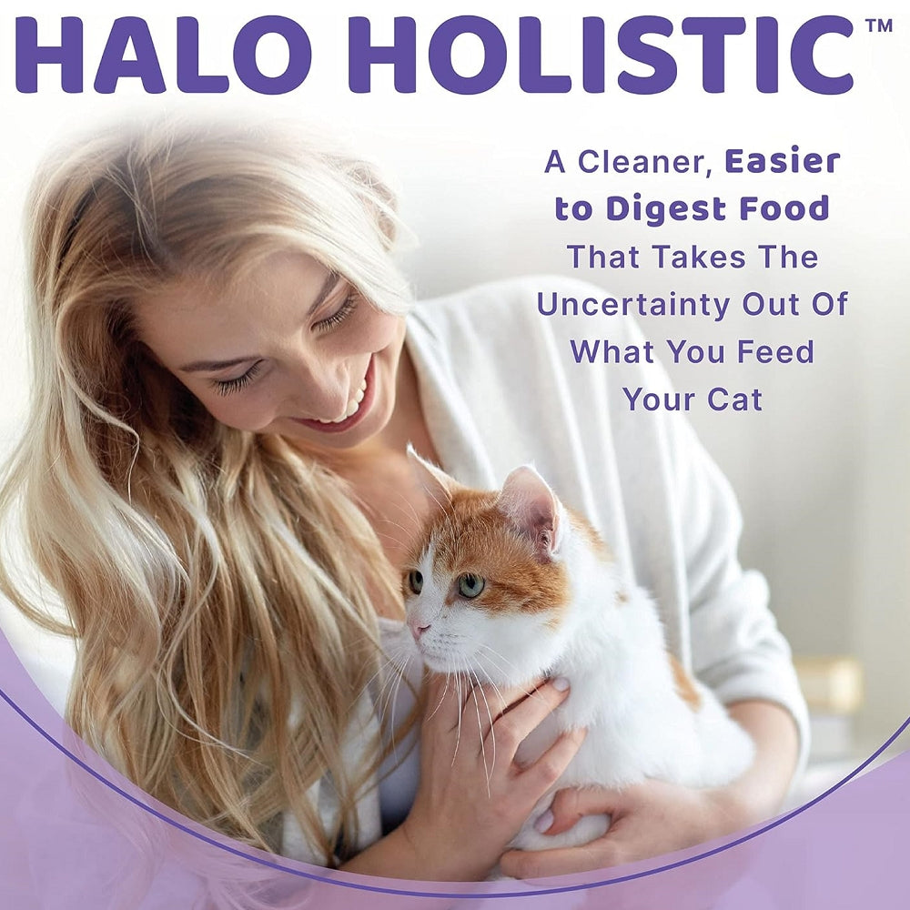 Grain-Free Chicken Recipe Cat Food - Premium Wet Cat Food for Sensitive Stomachs | High Protein, Natural Ingredients | Perfect for Indoor Cats & Kittens with Allergies