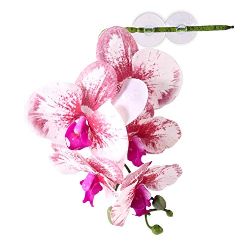 Pangea White Hanging Orchid for Reptile Terrarium Decor - Perfect for Vivarium, Gecko & Frog Habitat Enclosures