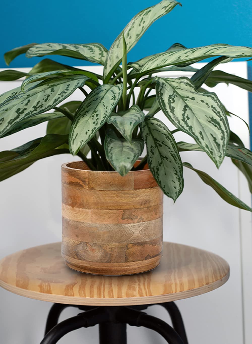Serene Spaces Living Mango Wood Planters Set of 4 - 9 Inch Diameter & 8.5 Inch Tall Indoor Flower Pots for Succulents, Herbs & Houseplants - Perfect for Home Decor, Living Room & Office Spaces