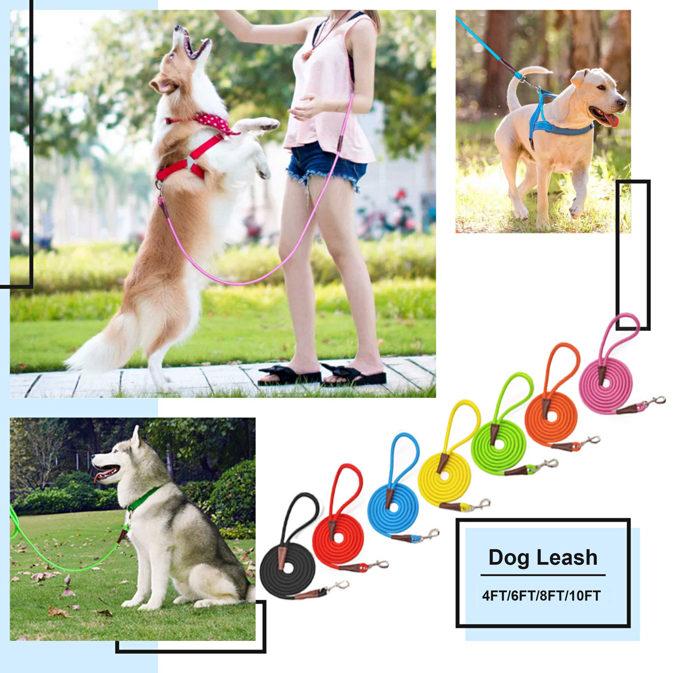 MayPaw 4FT/6FT/8FT/10FT Heavy Duty Dog Leash - Strong Nylon Rope with Leather Reinforced Connection & Silver Clasp - Classic Solid Colors (Black, 6FT x 1/2
