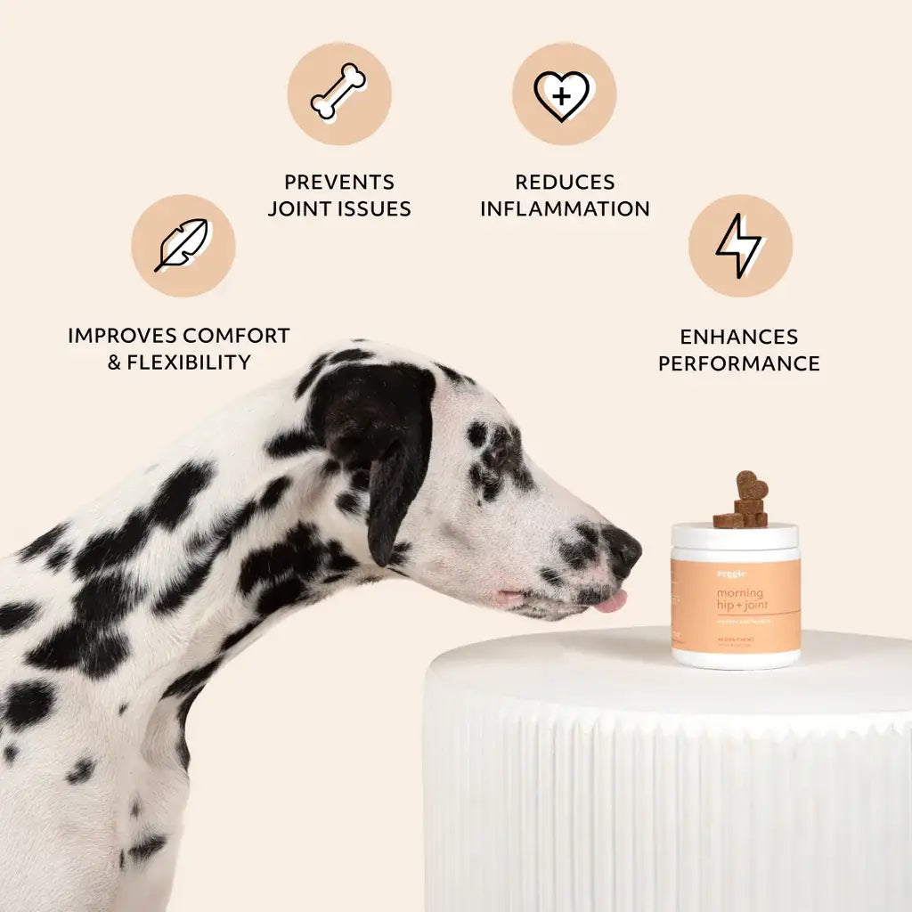 Premium Hip & Joint Soft Chews for Dogs - Advanced Mobility Supplement with MSM & Glucosamine - Supports Healthy Joints & Flexibility for Active Dogs - Ideal for Senior Dogs & Large Breeds