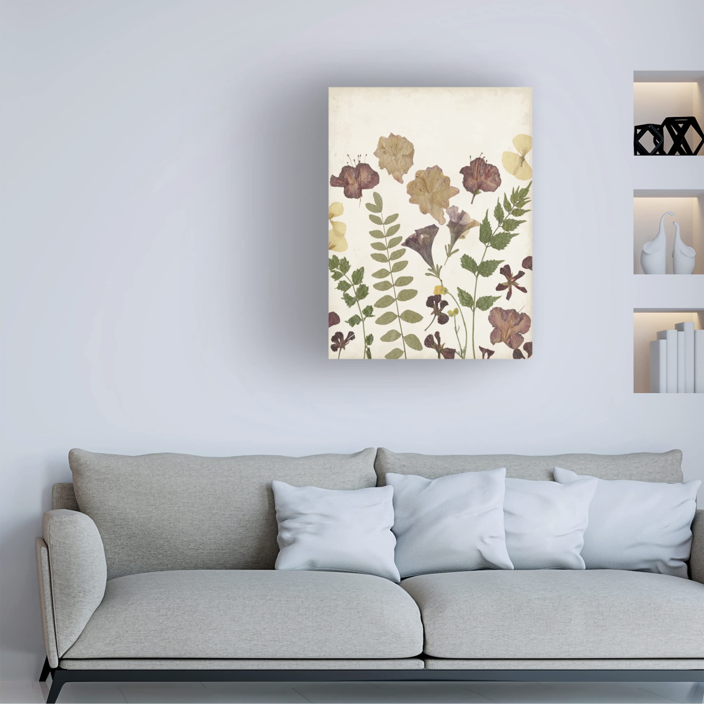 Pressed Flower Arrangement II Canvas Wall Art by Regina Moore - Botanical Floral Home Decor for Living Room, Bedroom & Office - Trademark Fine Art Collection