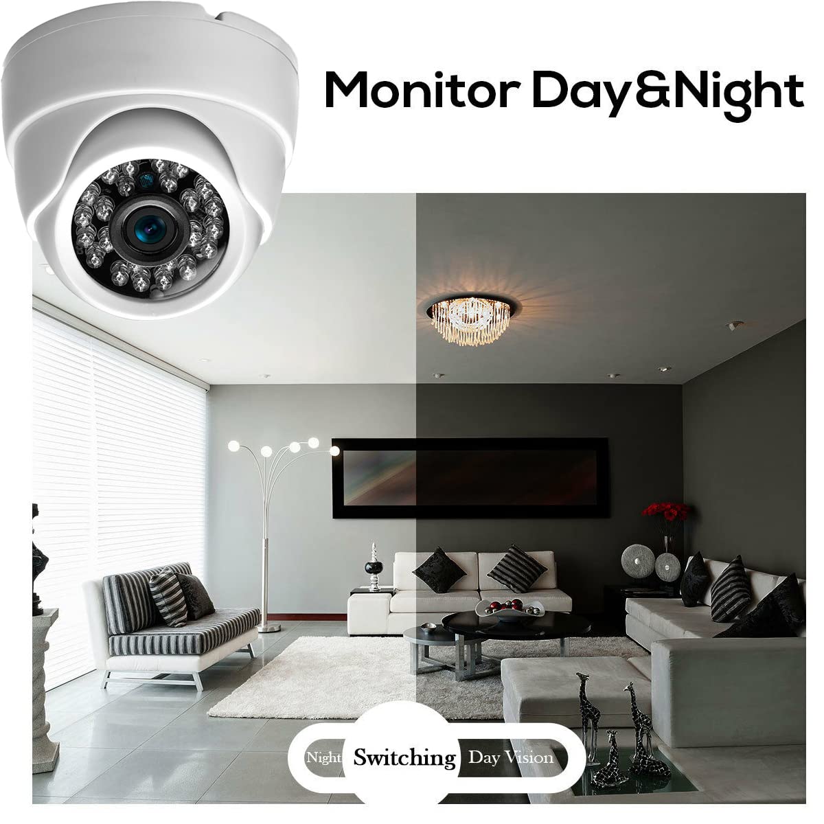 Vanxse® 800TVL Indoor Dome Security Camera with 24 IR LEDs, 1/3