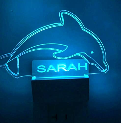 Swimming Dolphin
