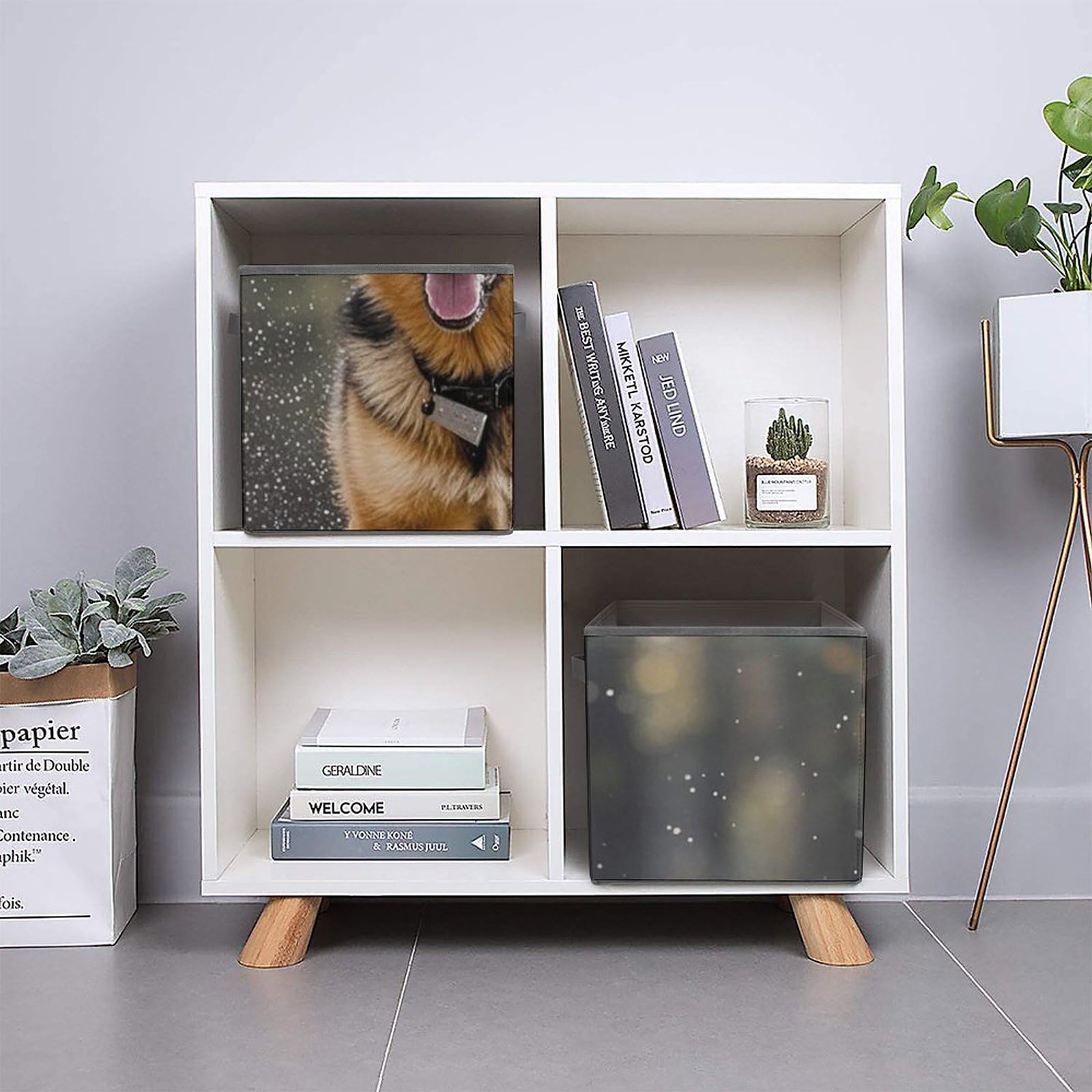 Large Collapsible Storage Bins with Handles - 10.6x10.6x10.6 Inch Foldable Closet Organizer Cubes for Home, Office & Pet Supplies | Perfect for German Shepherd Dog Toys, Seasonal Clothes & Household Organization