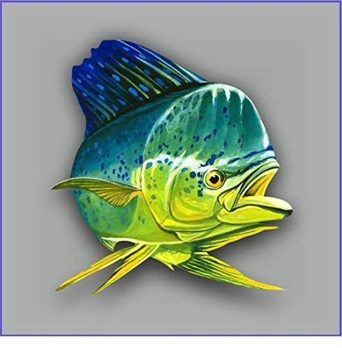 Premium Mahi Mahi Dolphin Fish Car Decals - Waterproof Vinyl Stickers (5 Inch) for Car Body, Door & Window - Durable Bumper Stickers for Cars, Trucks & SUVs - Perfect for Marine Lovers & Fishing Enthusiasts