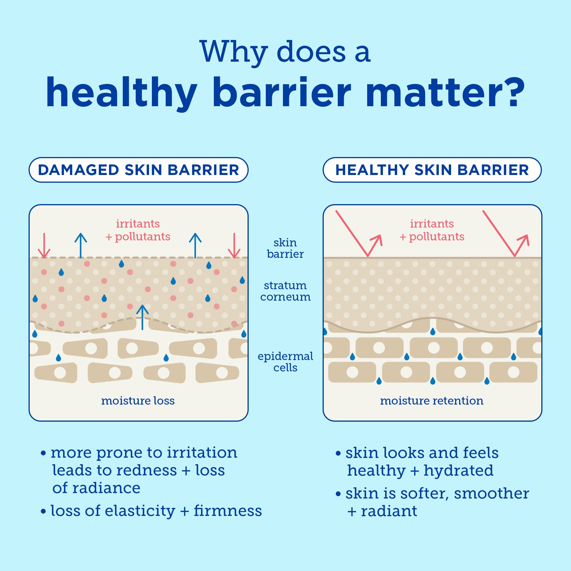 Barrier+ Foaming Oil Cleanser - Gentle Deep Cleansing for Acne-Prone & Sensitive Skin | Remove Makeup & Impurities | Perfect for Daily Skincare Routine & Post-Workout Refresh