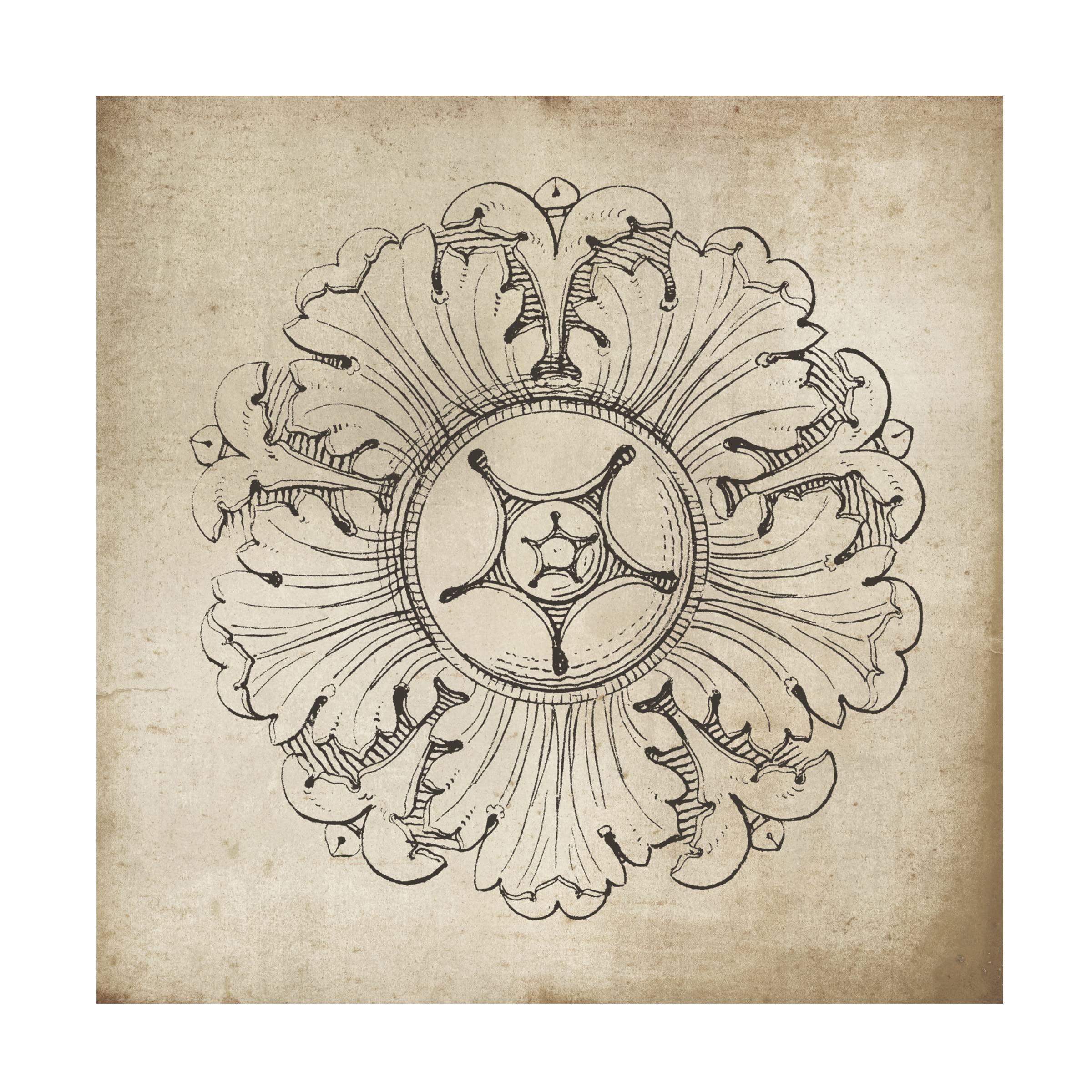 Trademark Fine Art 'Rosette VI Neutral' Canvas Wall Art by Wild Apple - Modern Abstract Painting for Living Room, Bedroom & Office Decor