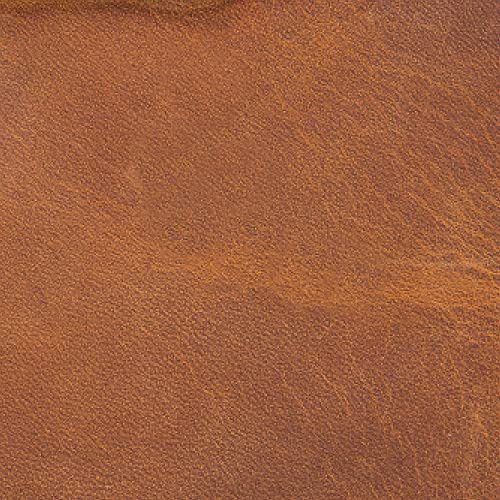 Antique Camel