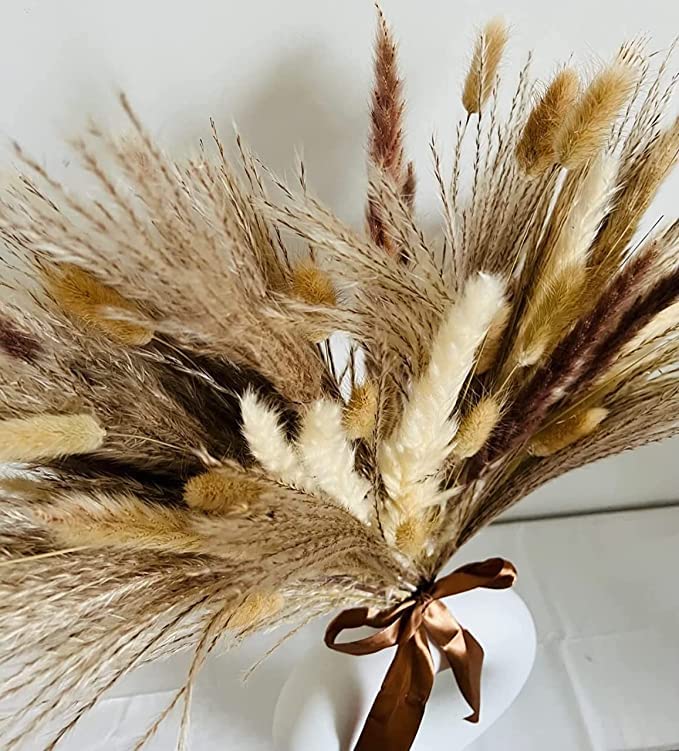 40 Pcs Natural Dried Pampas Grass 18