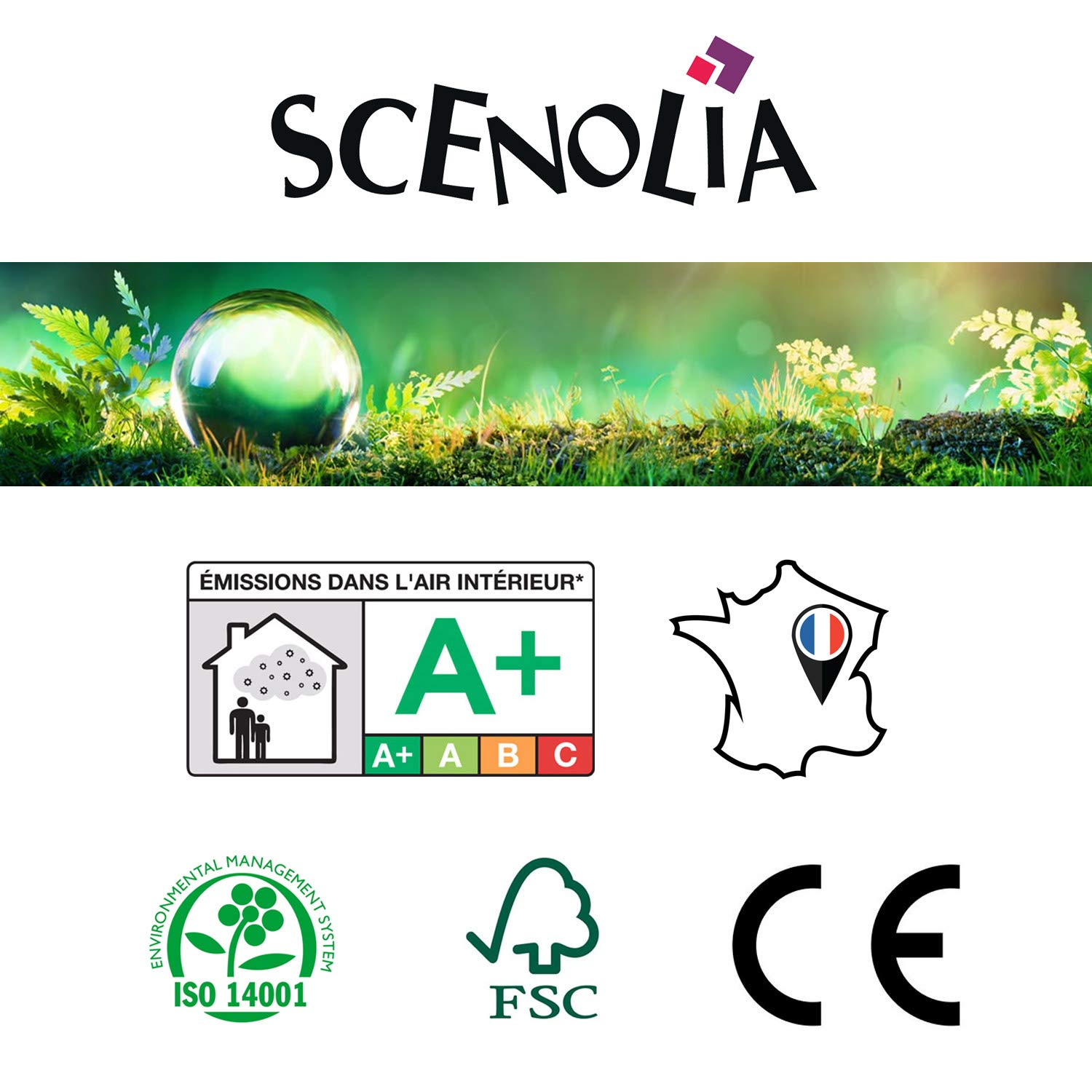 Scenolia 35.4