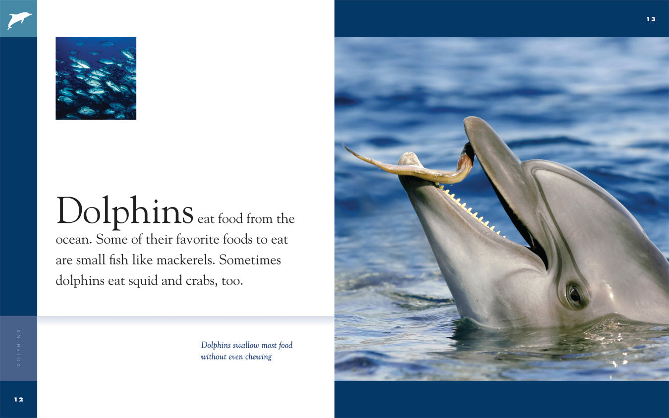 Amazing Animals (2014): Dolphins - Educational Wildlife Documentary for Kids & Nature Lovers | Perfect for Homeschooling & Classroom Learning
