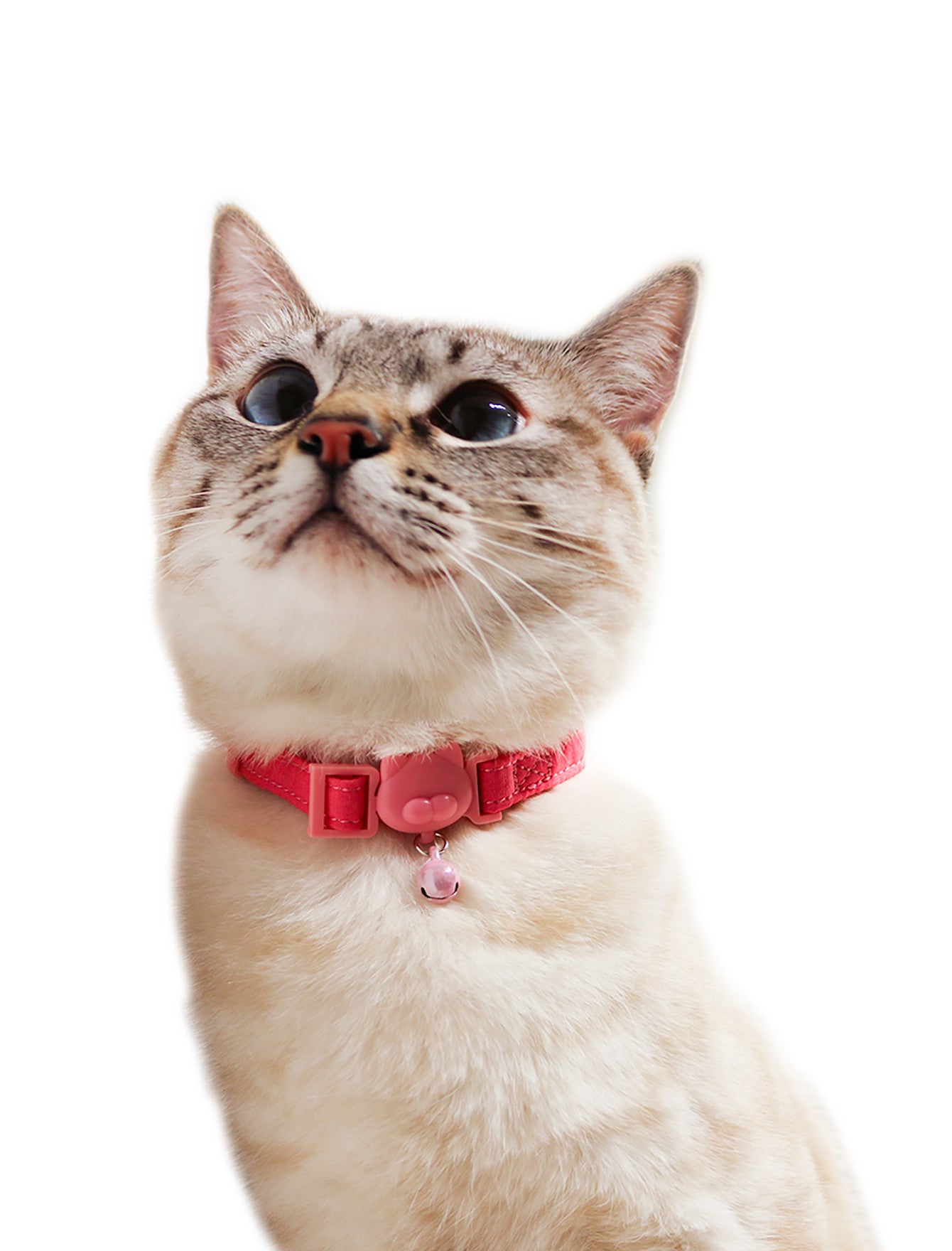 Stylish Light Pink Cat Collar for Small & Large Cats - Fashionable Pet Accessory for Indoor & Outdoor Use