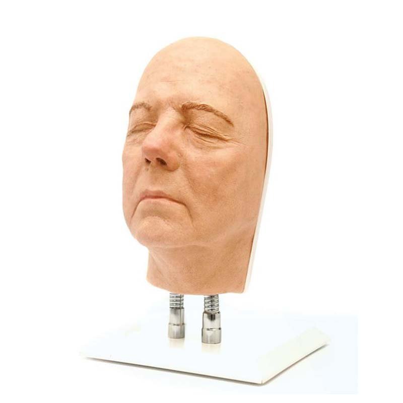 Professional Facial Injection Head Model for Medical Training - Light Skin Version B - Perfect for Aesthetic & Dermatology Practice, Classroom Demonstrations, and Cosmetic Procedure Simulations