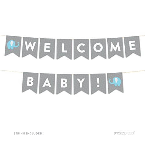 Banner Welcome Baby