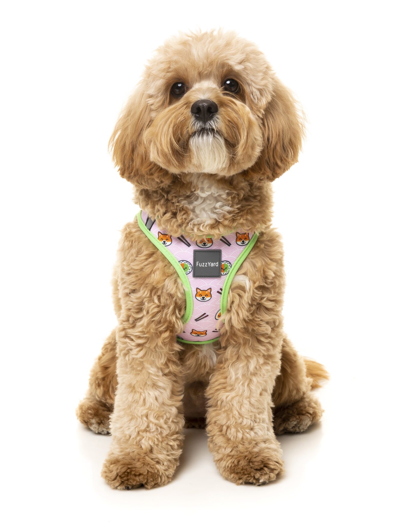 Fuzzyard Step-in Dog Harness for Small & Medium Dogs - Adjustable & Reflective SusHiBa Design (6 Sizes) - Perfect for Walking, Running & Outdoor Adventures