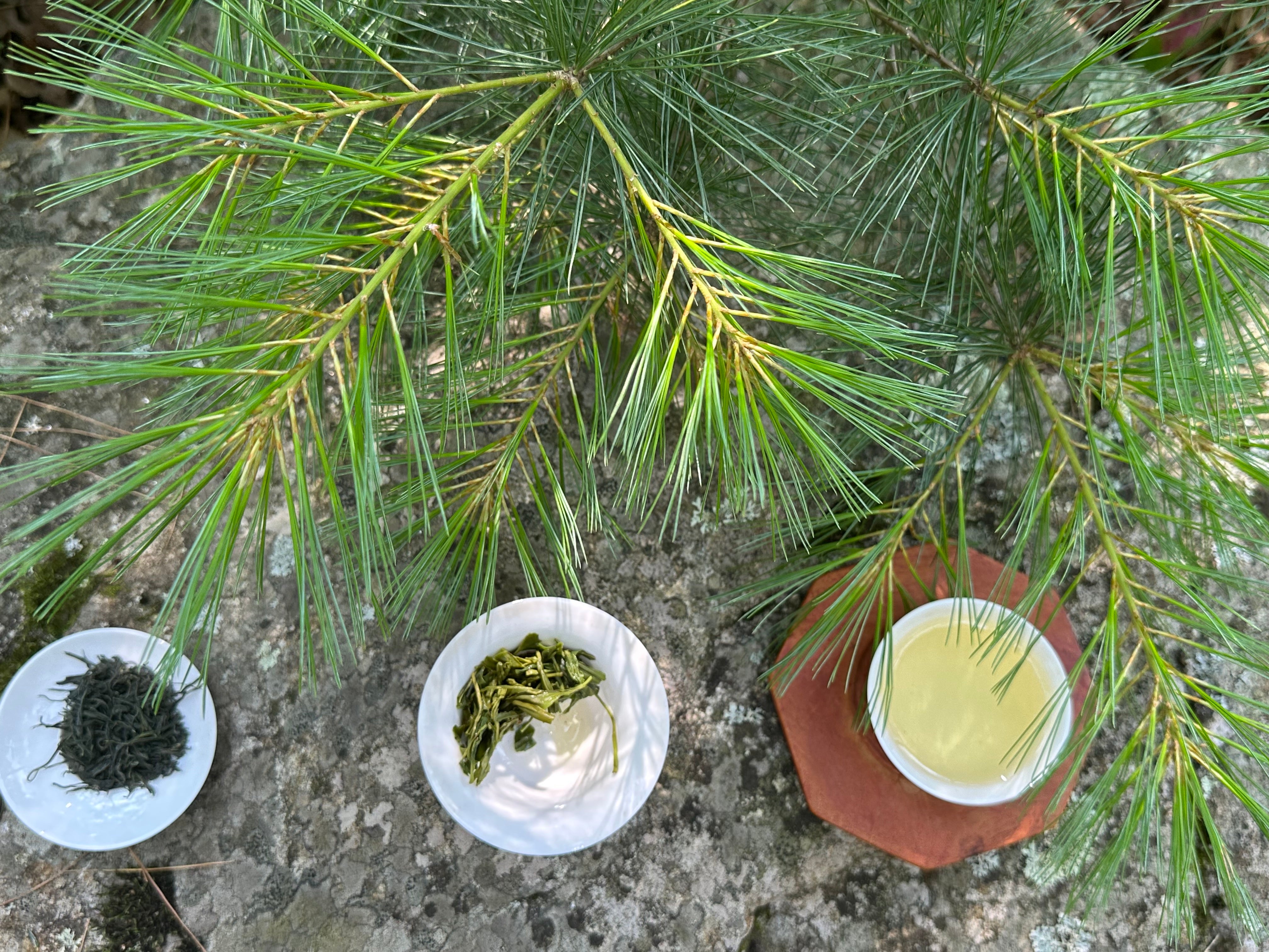 Premium Songzhen Green Tea - 100% Organic Loose Leaf Tea for Weight Loss & Detox | Perfect for Relaxation, Meditation & Daily Wellness Routine