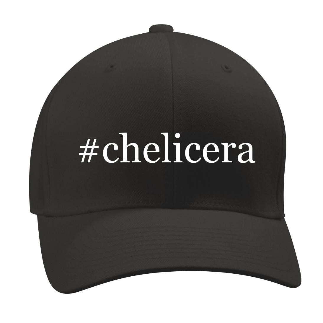#Chelicera Men's Baseball Cap - Trendy Adjustable Dad Hat for Casual & Outdoor Activities | Perfect for Streetwear, Sports, and Daily Wear