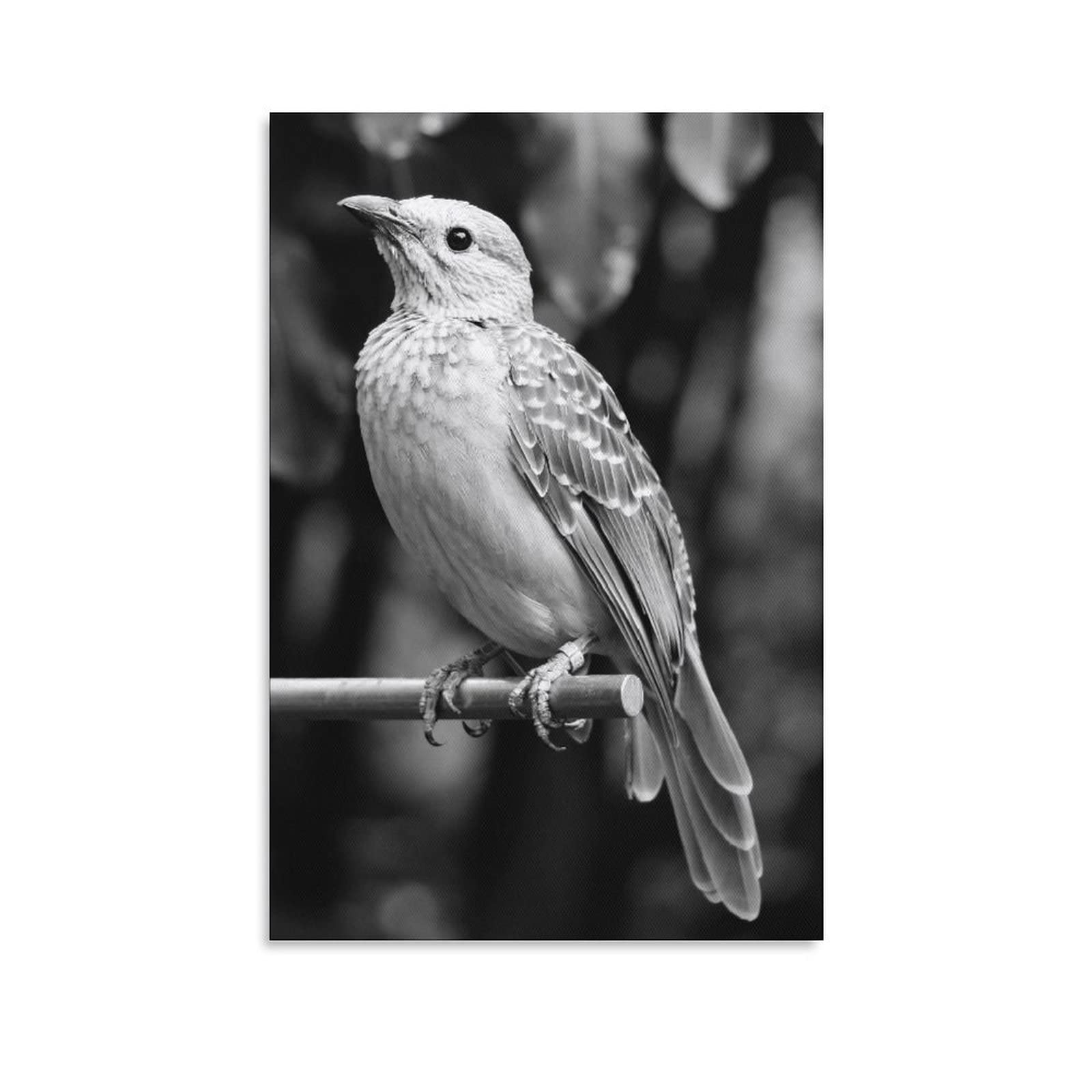 Black and White Tropical Bird Canvas Wall Art - 16x24 Inches (40x60cm) - Modern Home Decor for Living Room, Bedroom & Office - Nature Inspired Landscape Painting Print - Perfect Gift for Bird Lovers & Home Decor Enthusiasts - Ideal for Adding Elegance to Your Space