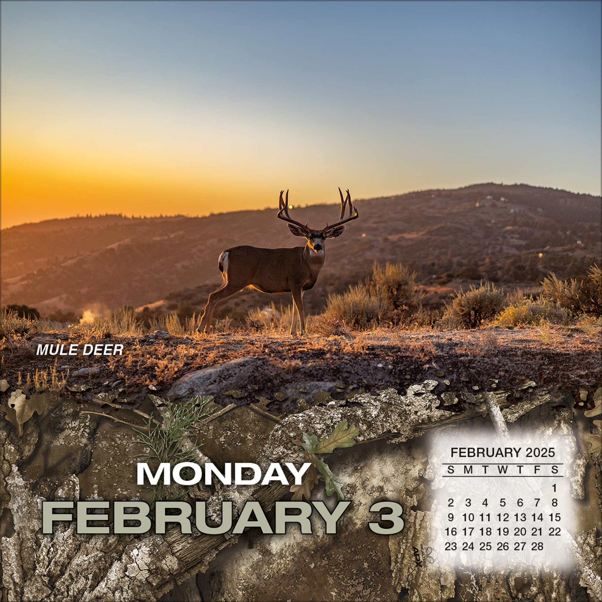 Realtree Hunted Game 2025 Wall Calendar - Hunting Theme Outdoor Sports Planner - Perfect for Hunters, Wildlife Enthusiasts & Cabin Decor (25998052013)