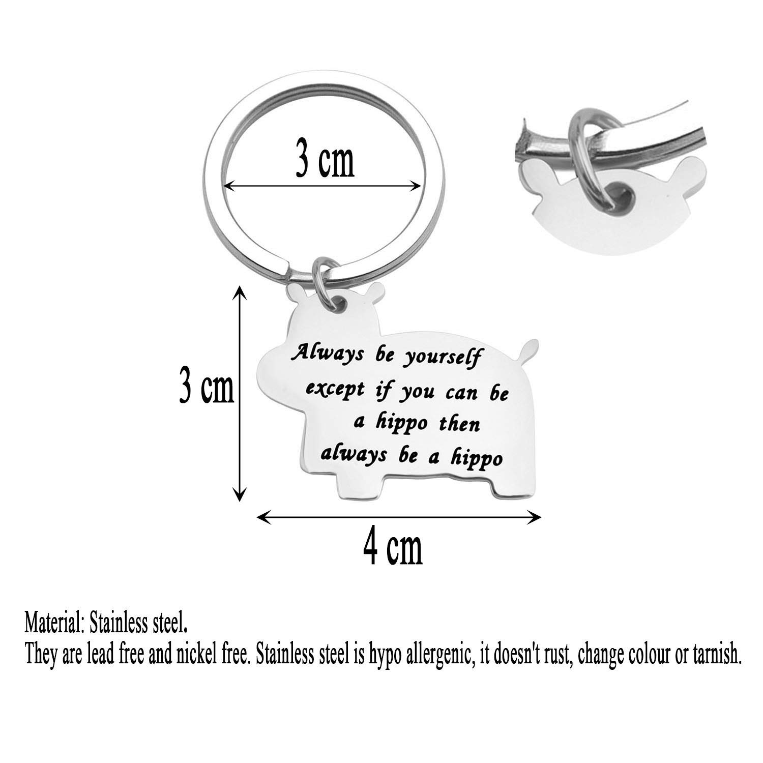 Unique Hippo Keychain - Inspirational Gift for Son, Encouragement Jewelry with 'Always Be Yourself' Message - Perfect for Graduation, Birthday & Daily Motivation