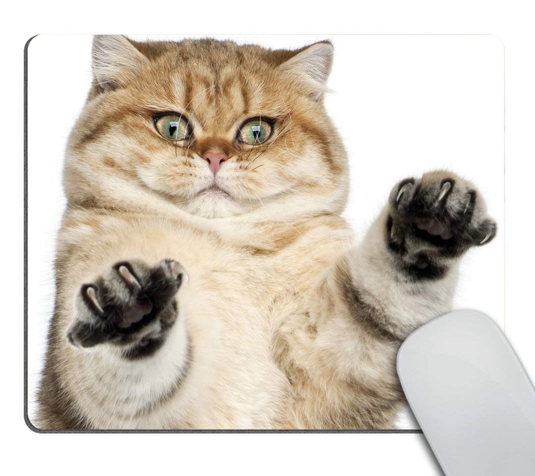 Smooffly Cute Cat Paw Print White Mouse Pad - Non-Slip Office Desk Accessory for Computer, Laptop, Gaming Setup & Home Workspace Decor