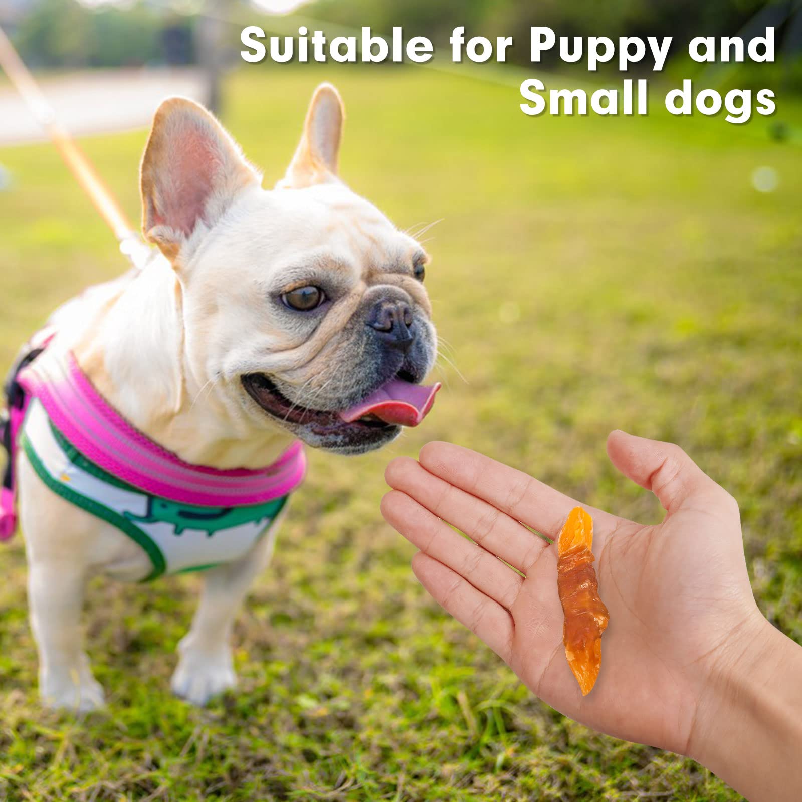 MON2SUN Natural Dog Treats - Grain Free, Gluten Free Chicken Wrapped Sweet Potato Chews for Puppies & Small Dogs - Healthy Rawhide Alternative - Perfect for Training, Rewards & Dental Health (1.56lb Pack)