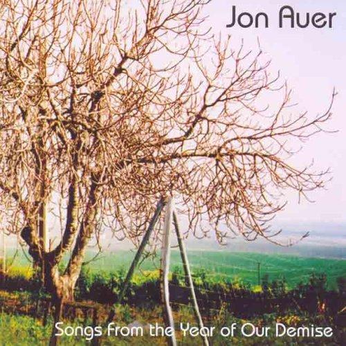 Jon Auer - Songs From The Year Of Our Demise (Big Star Posies) | Alternative Rock Vinyl LP | Perfect for Music Collectors & Indie Fans