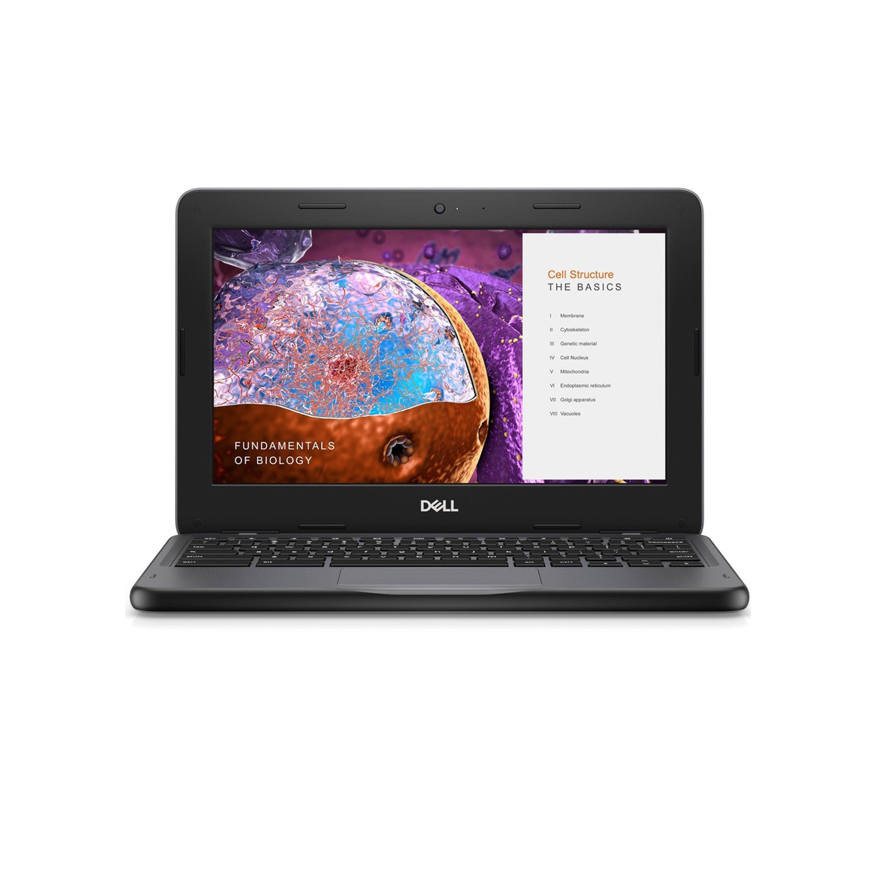 Dell Chromebook 3110 11.6