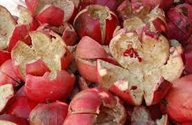 Organic Pomegranate Peel Powder (100g) - Pure Punica Granatum for Skin, Face & Hair Care | Natural Exfoliant, Brightening & Hydrating | DIY Masks, Scrubs & Hair Treatments