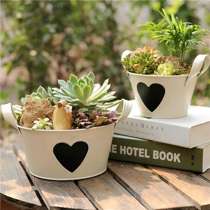 17 Pack Artificial Succulent Plants - Lifelike Fake Succulent Decor for Home & Office - Perfect for Table Centerpieces, Shelf Displays, Wedding Decor, and DIY Crafts