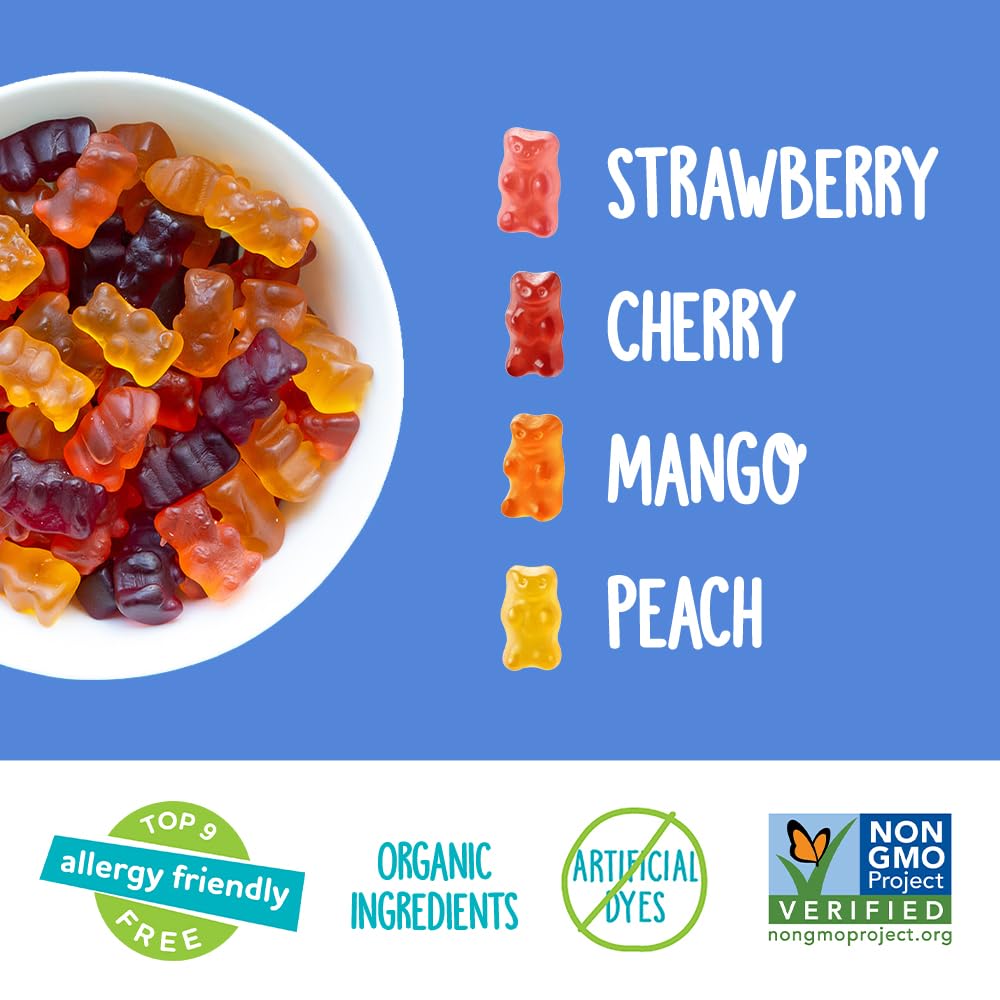 YumEarth Organic Gummy Bears - 10 Snack Packs (Pack of 12) | Assorted Natural Fruit Flavors | Gluten-Free, Vegan Candy for Kids Lunch Box, Birthday Parties & Healthy Snacks