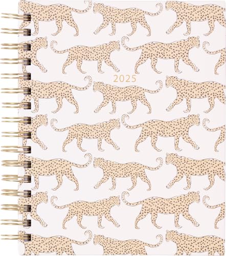 Cheetahs