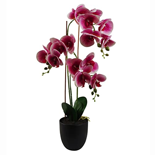 70cm Dark Pink Plastic Pot