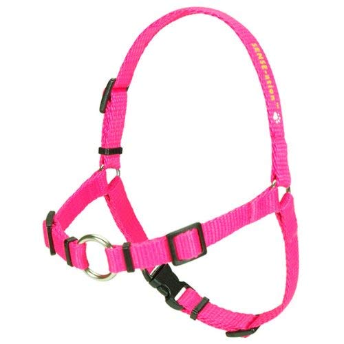 safety pink