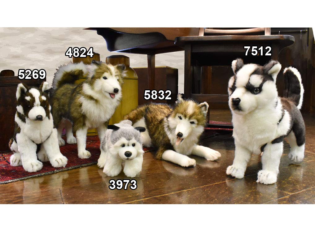 Hansa Plush Husky Dog Stuffed Animal - 14 Inch Soft Toy for Kids, Cute Siberian Husky Puppy Gift for Dog Lovers - Perfect for Nursery Decor, Birthday Presents & Cuddling