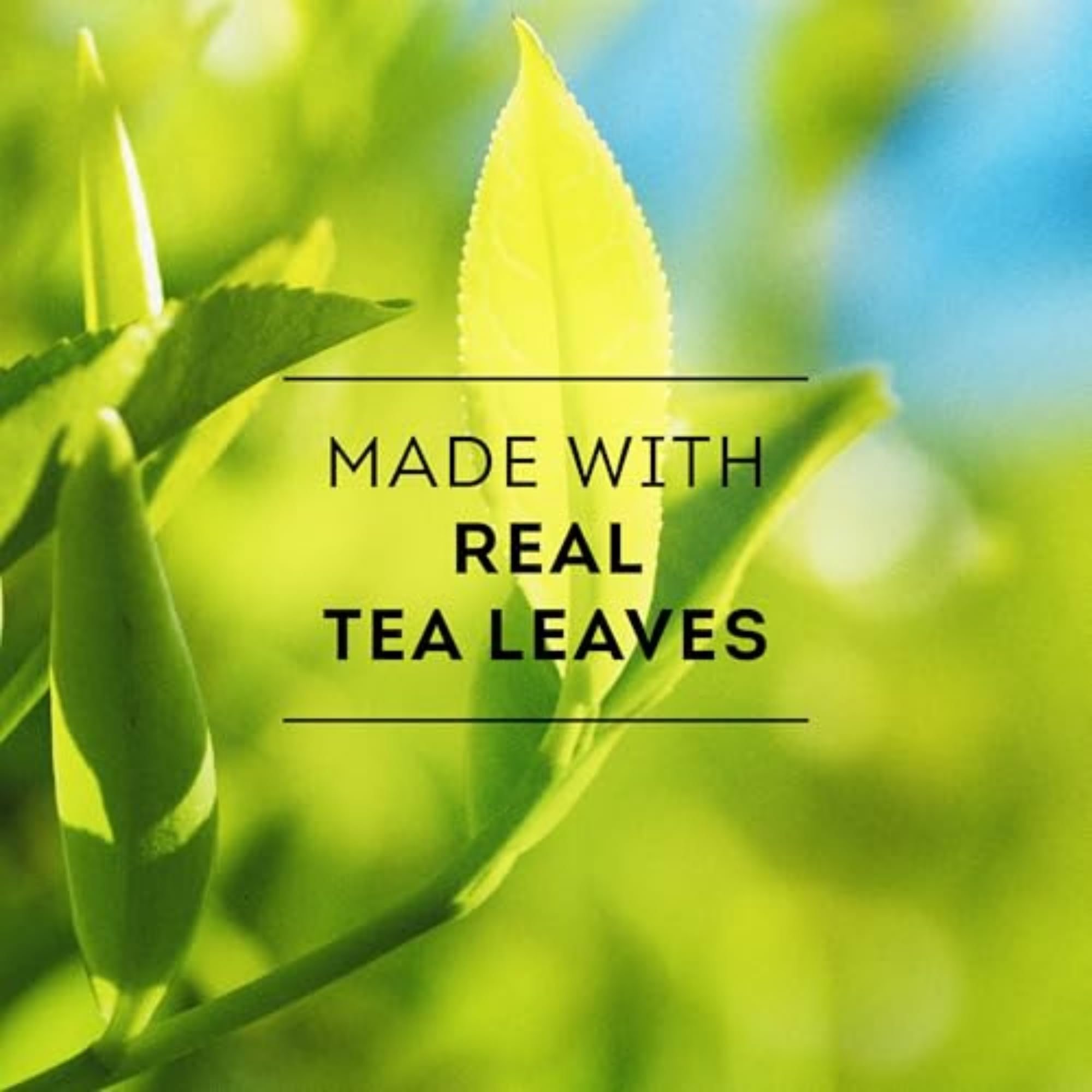 Lipton Unsweetened Iced Tea Bags - 24 Count | Gallon-Sized Brew | Zero Calories | Refreshing & Healthy | Perfect for Summer, Picnics & Family Gatherings