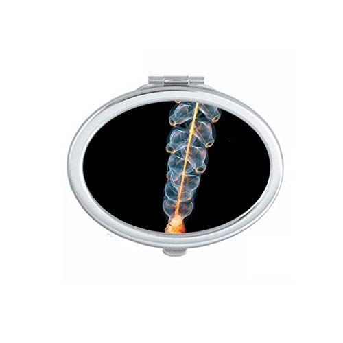 DIYthinker Ocean Jellyfish Science Nature Picture Mirror - Portable Foldable Double-Sided Makeup Mirror with Stand (Perfect for Travel, Vanity, Dorm Room & Gift)