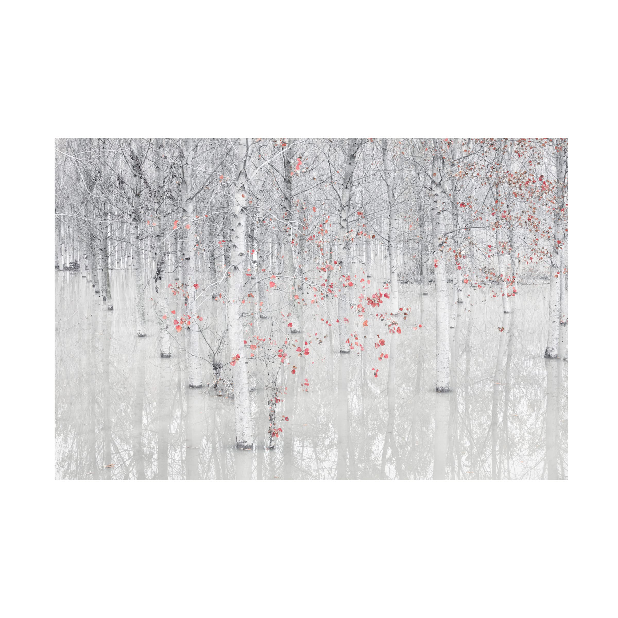Fiorenzo Carozzi 'Red and White' Canvas Wall Art Print - Modern Abstract Painting for Living Room, Bedroom & Office Decor